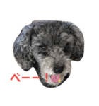 harry (part2)（個別スタンプ：10）