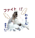 姫ファミリー part2（個別スタンプ：21）