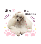 姫ファミリー part2（個別スタンプ：23）