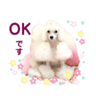 姫ファミリー part2（個別スタンプ：36）
