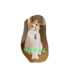Rimaちゃん その4（個別スタンプ：8）