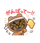 わさびとおかか♫（個別スタンプ：11）