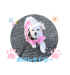 “めりる”のスタンプ2020（個別スタンプ：11）