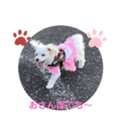“めりる”のスタンプ2020（個別スタンプ：13）