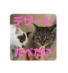 ベル＆レン part2(テキスト)（個別スタンプ：18）