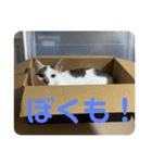 ベル＆レン part2(テキスト)（個別スタンプ：21）