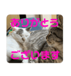 ベル＆レン part2(テキスト)（個別スタンプ：22）