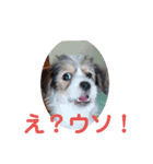 love☆ジャック5（個別スタンプ：10）