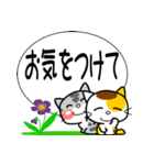 可愛いにゃんこ達【8】ミニ（個別スタンプ：28）