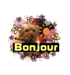 Bonjour！ オペラちゃん！（個別スタンプ：4）