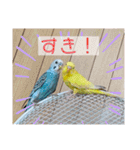 セキセイインコ レイちゃんとスイちゃん（個別スタンプ：32）