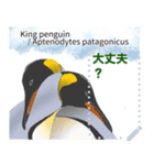 18種のペンギンがキミのメッセージを届ける（個別スタンプ：7）