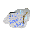 ✨アクアミュージアム✨（個別スタンプ：3）