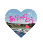 ✨アクアミュージアム✨（個別スタンプ：5）