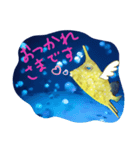 ✨アクアミュージアム✨（個別スタンプ：7）