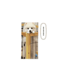 ぷあちゃんスタンプ2（個別スタンプ：7）