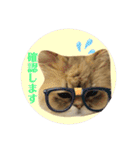 にゃたろうコレクション（個別スタンプ：8）