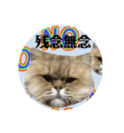 にゃたろうコレクション（個別スタンプ：14）