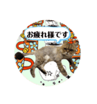 にゃたろうコレクション（個別スタンプ：19）