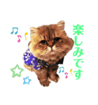 にゃたろうコレクション（個別スタンプ：27）