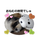 我が家のシーズー犬もじゃ 17（個別スタンプ：5）