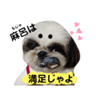 我が家のシーズー犬もじゃ 17（個別スタンプ：9）