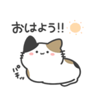 みけねこのぽてと。（個別スタンプ：1）