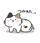 みけねこのぽてと。（個別スタンプ：37）