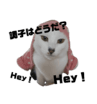 ねこ屋敷（個別スタンプ：6）