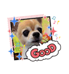 ミントミルモスタンプ（個別スタンプ：22）
