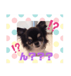 ミントミルモスタンプ（個別スタンプ：24）