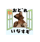 怒りと癒しのハーモニー（個別スタンプ：1）