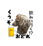 怒りと癒しのハーモニー（個別スタンプ：2）