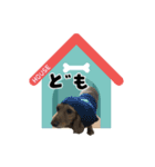 怒りと癒しのハーモニー（個別スタンプ：5）