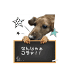 怒りと癒しのハーモニー（個別スタンプ：6）