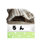 怒りと癒しのハーモニー（個別スタンプ：7）