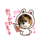 モカ、メル、チャトラ、クゥー（個別スタンプ：28）