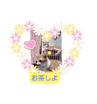 すずりんぼ～（個別スタンプ：1）
