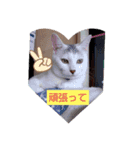 すずりんぼ～（個別スタンプ：4）