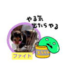 すずりんぼ～（個別スタンプ：5）