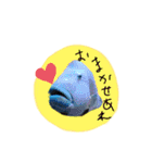 お魚実写ワンフレーズ（個別スタンプ：2）