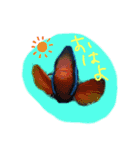 お魚実写ワンフレーズ（個別スタンプ：10）
