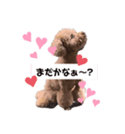 高田さん家（個別スタンプ：6）