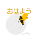 リクガメたち（個別スタンプ：2）