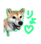 ぼんと愉快な仲間たち。（個別スタンプ：5）