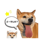 ぼんと愉快な仲間たち。（個別スタンプ：14）