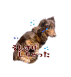 こたFX（個別スタンプ：1）