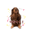 こたFX（個別スタンプ：5）