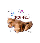 こたFX（個別スタンプ：6）