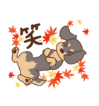 ダックス大好き季節・秋◆黒タン（個別スタンプ：33）